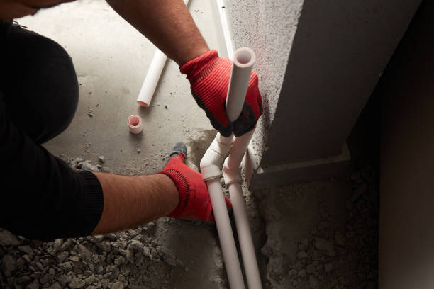 Best Clogged Drain Plumber  in Agler Beach, FL