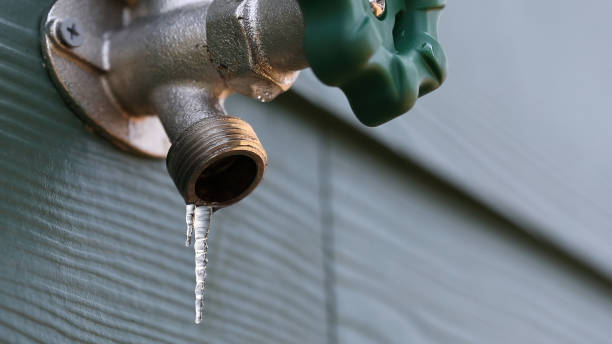 Best Best Plumbers Near Me  in Agler Beach, FL