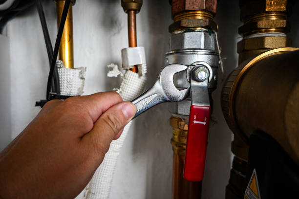 Best Plumbing Installation Services  in Agler Beach, FL